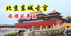 操美女免费看30分钟中国北京-东城古宫旅游风景区